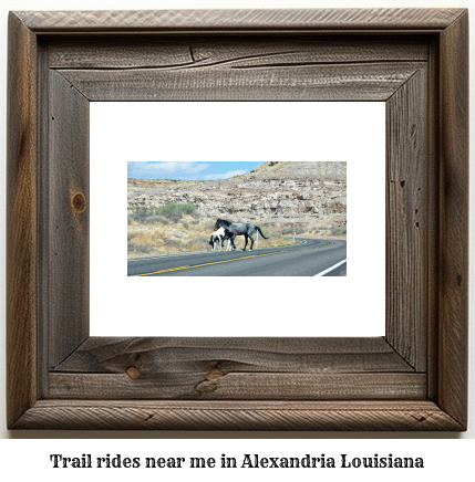 trail rides near me in Alexandria, Louisiana